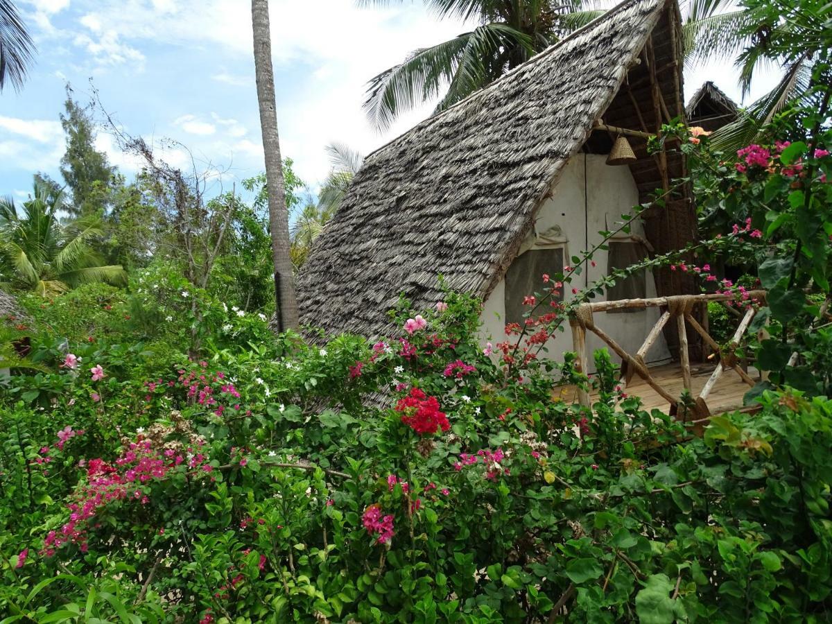 Dolphin Safari Lodge Mahonda Exterior foto